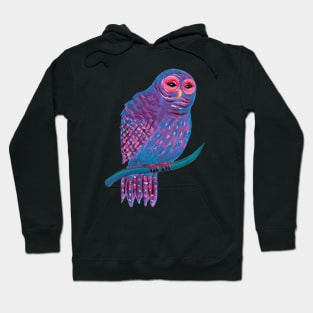 Cute Night Owl Hoodie